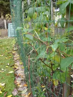 P1020266.webp