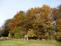 P1020269.webp