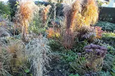 DSCF7823 (2).webp