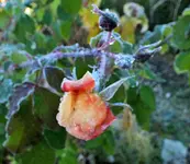 DSCF7825 (3).webp