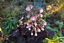 DSCF7832 (2).webp