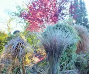 DSCF7835 (2).webp