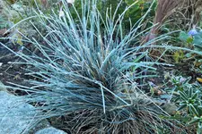 DSCF7836 (2).webp