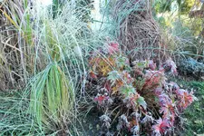 DSCF7837 (2).webp