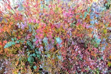 DSCF7839 (2).webp