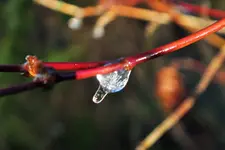 DSCF7843 (2).webp