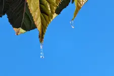 DSCF7846 (2).webp