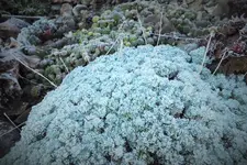 DSCF7848 (2).webp