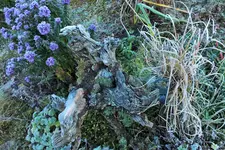 DSCF7849 (2).webp