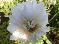 DSCI0746.webp