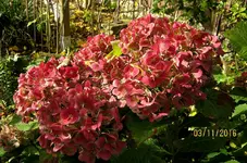 IMG_7102.webp
