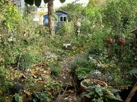 IMG_7113.webp