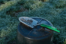 Gartenarbeit ruht_Wintereinbruch_Frost_still life1_700.webp