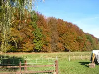 IMG_7596.webp