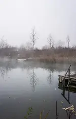 DSC00032.webp