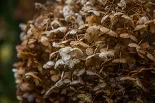 IMG_9587-3.webp