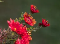 IMG_9676-2.webp