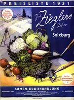 regner379.jpg