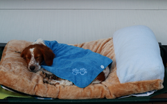 Estrella_life could be worse_900.webp
