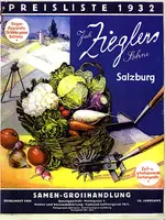 regner383.webp