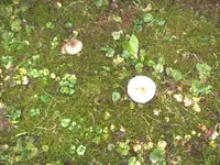 BILD6031.webp