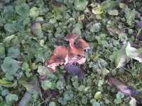 BILD6033.webp