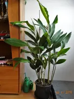 DSC08344.webp