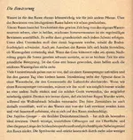 regner393.webp