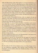 regner398.jpg