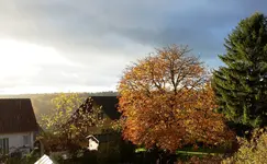 hrbst16 (12).webp