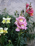 hrbst16 (14).webp