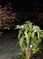 hrbst16 (19).webp