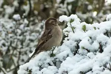 DSCF7905 (2).webp