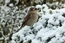 DSCF7906 (2).webp