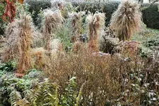 DSCF7908 (2).webp
