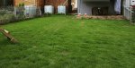 20161109_082428.jpg