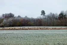DSCF7912 (2).webp