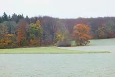 DSCF7913 (2).webp