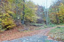 DSCF7914 (2).webp