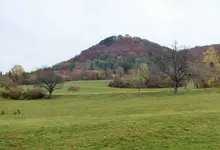DSCF7915 (2).webp