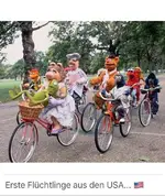 Muppets.webp