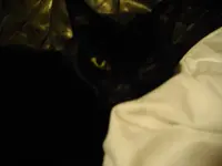 IMGP3968.webp