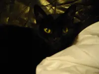 IMGP3965.webp