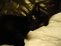 IMGP3966.webp
