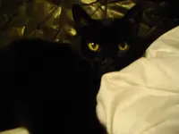 IMGP3967.webp
