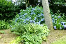 DSCF2429.webp