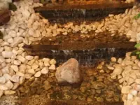 Bilda823.webp