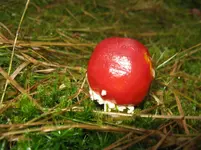 006_1067x800.webp
