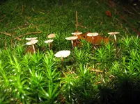 008_1067x800.webp