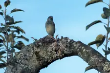 DSCF7811 (2).webp